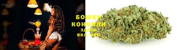 spice Бугульма