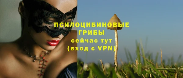 хмурый Бронницы