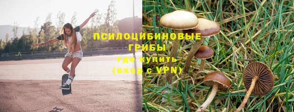 хмурый Бородино