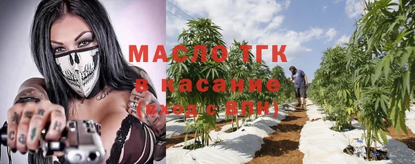 хмурый Бородино