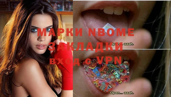 хмурый Бронницы