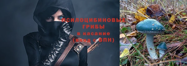 хмурый Бородино