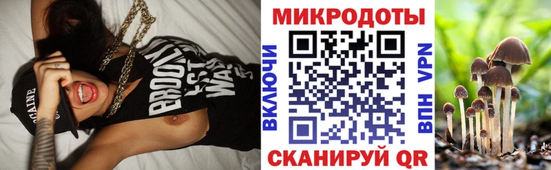 Псилоцибиновые грибы прущие грибы  Купить  Сурск 